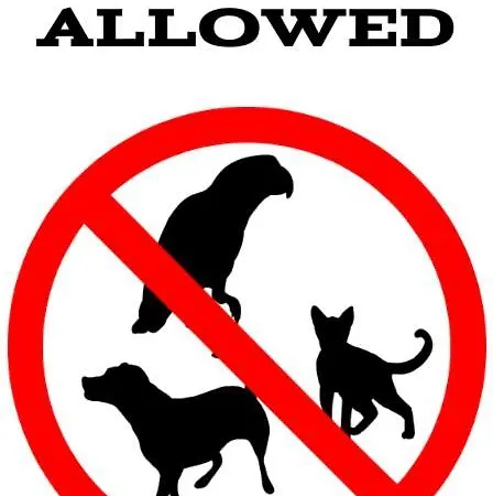 - Komandorska شقة